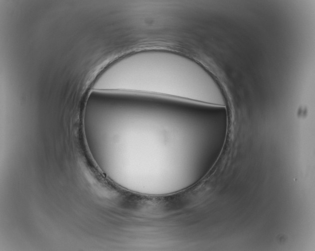 X0000113640107200909181339