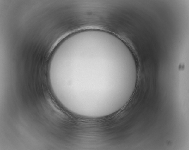 X0000113640108200909181339