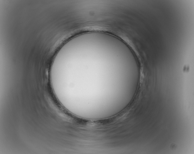 X0000113640109200909181339