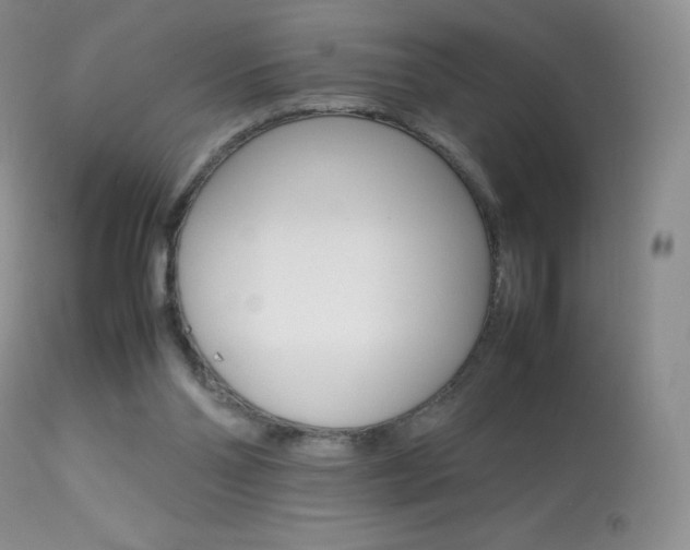 X0000113640110200909181339