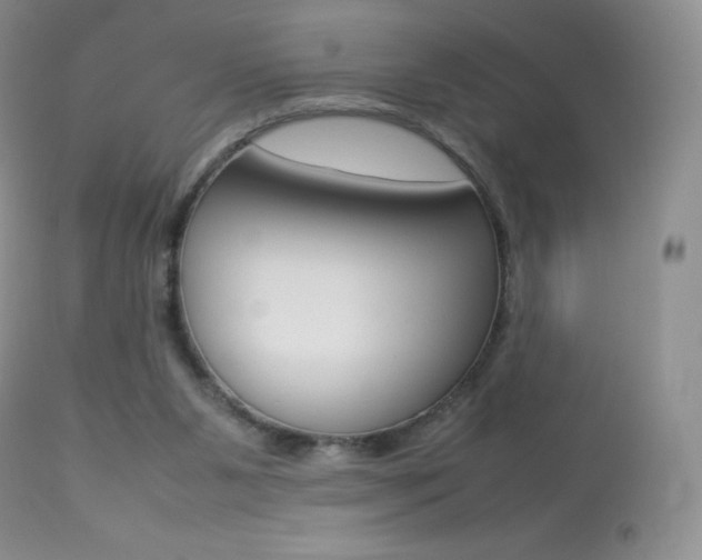 X0000113640111200909181339