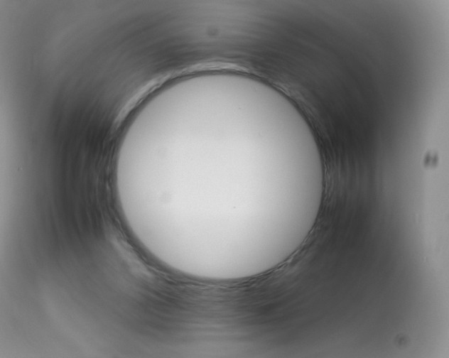 X0000113640112200909181339