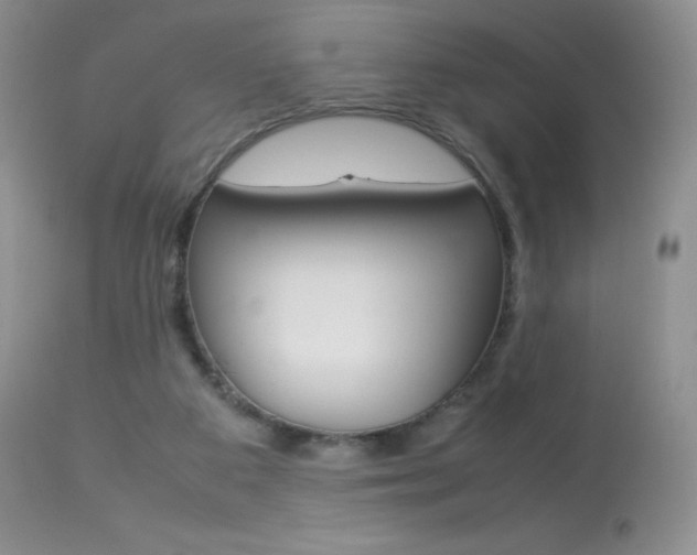 X0000113640113200909181339