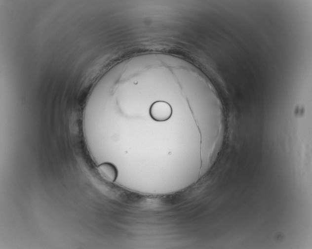 X0000113640114200909181339