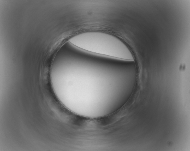 X0000113640115200909181339