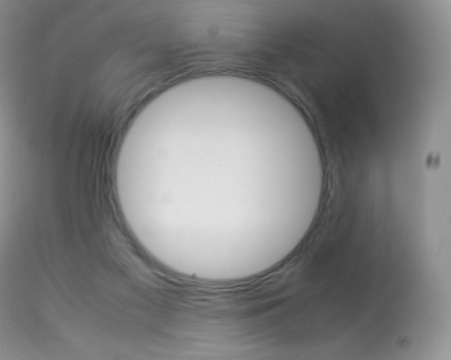 X0000113640117200909181339