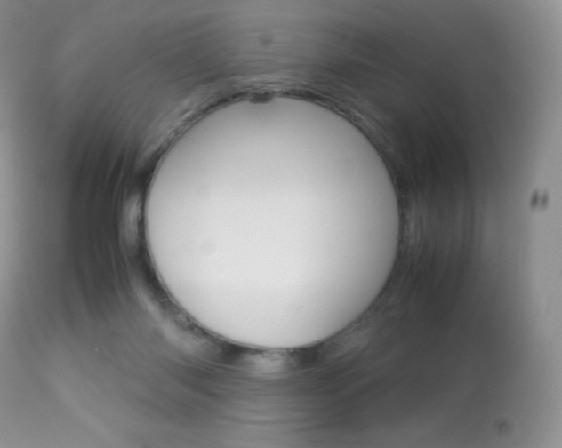 X0000113640118200909181339