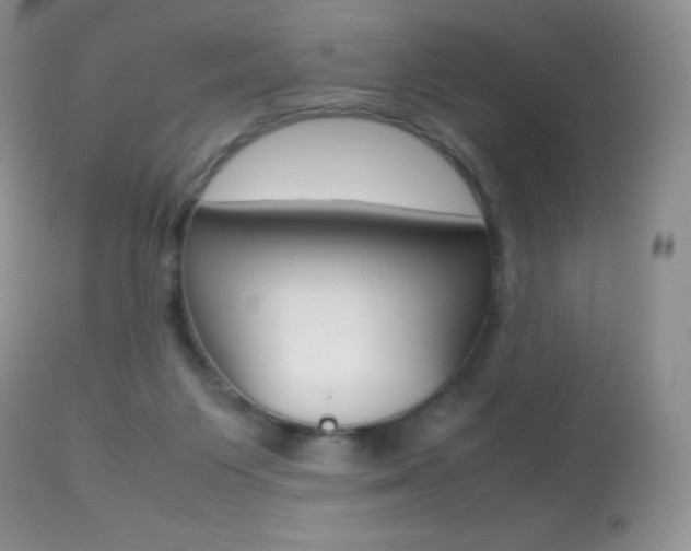 X0000113640119200909181339