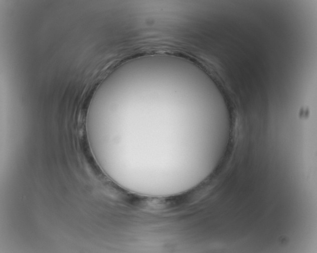 X0000113640121200909181339
