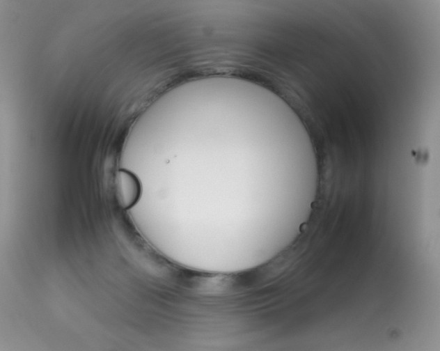 X0000113640122200909181339