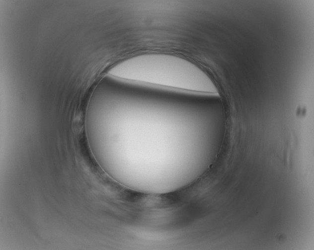 X0000113640123200909181339