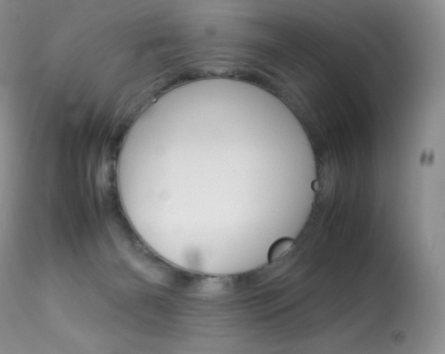 X0000113640126200909181339