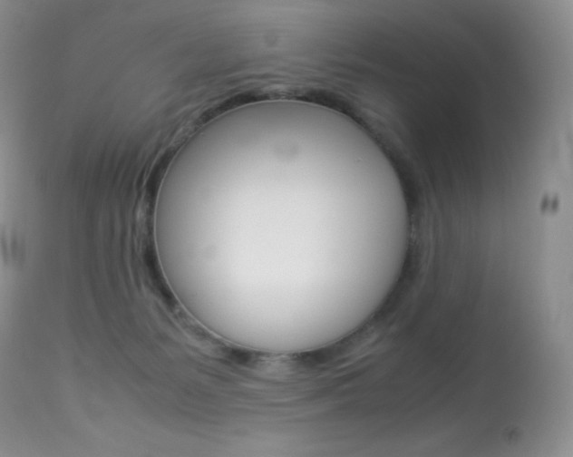 X0000113640127200909181339
