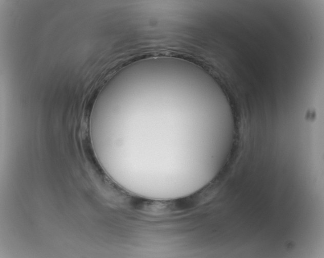 X0000113640129200909181339