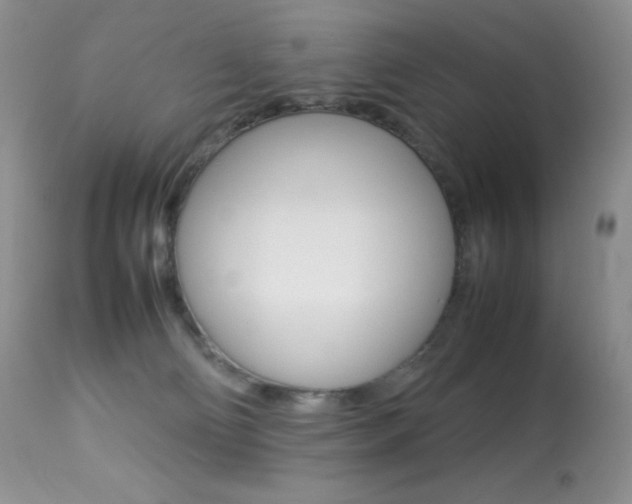 X0000113640130200909181339