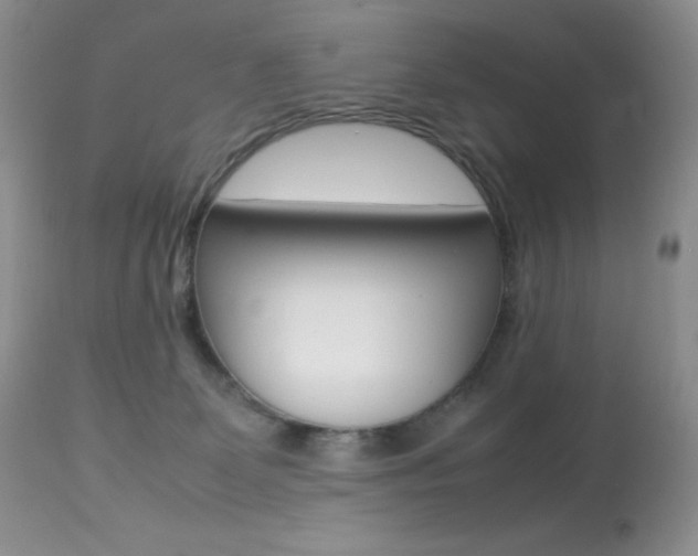 X0000113640131200909181339