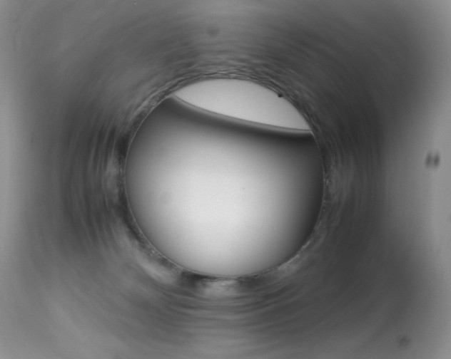 X0000113640132200909181339