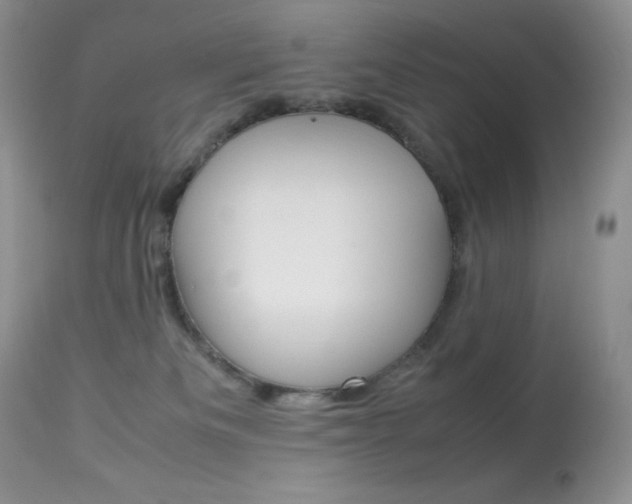 X0000113640133200909181339