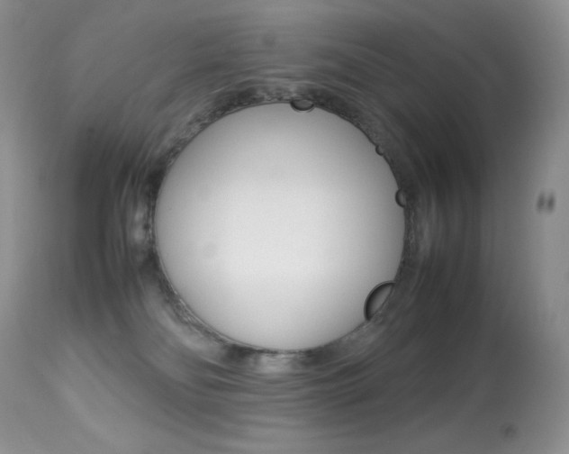 X0000113640134200909181339