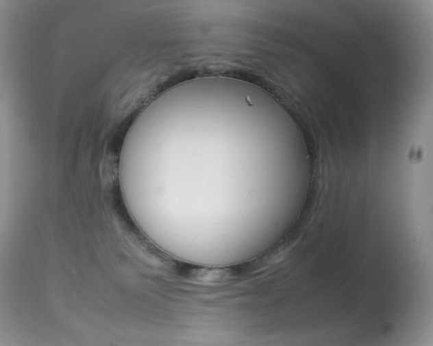 X0000113640135200909181339
