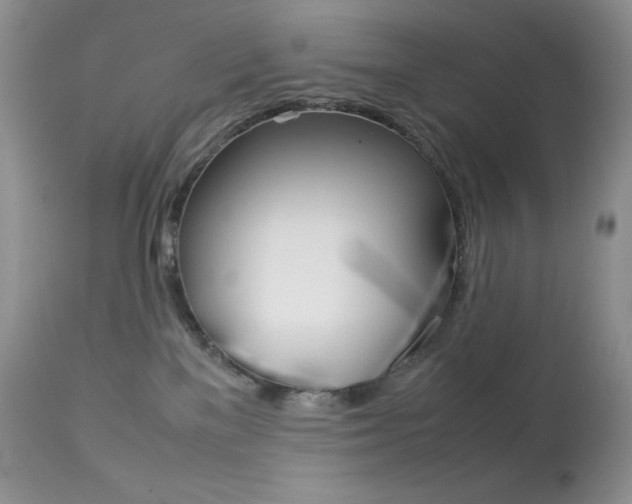 X0000113640137200909181339
