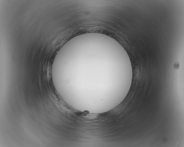 X0000113640138200909181339