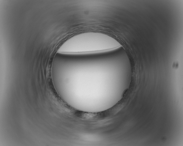 X0000113640139200909181339
