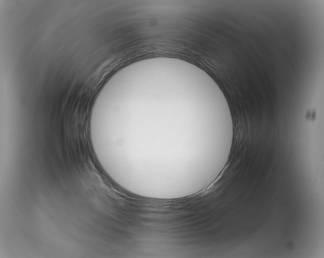 X0000113640140200909181338