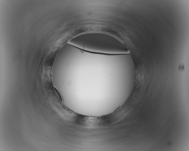 X0000113640141200909181338
