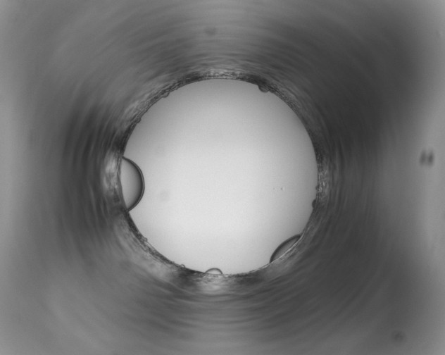 X0000113640142200909181338