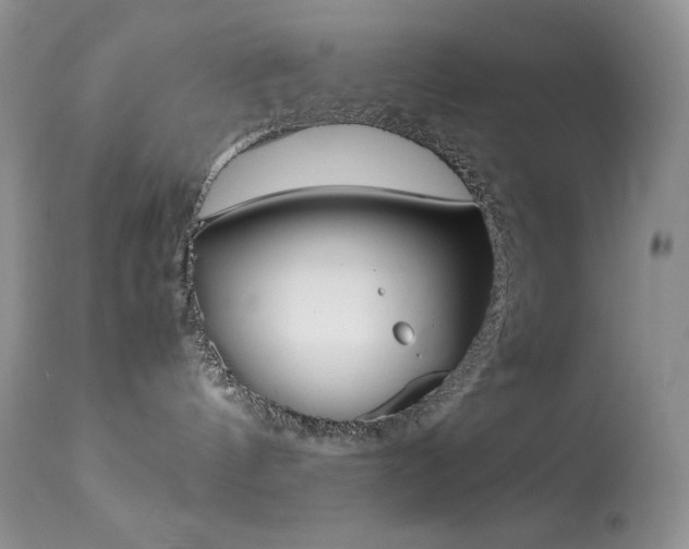 X0000113640144200909181338
