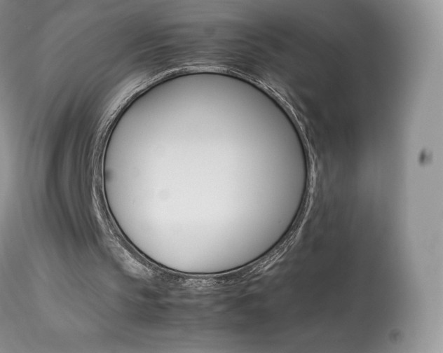 X0000113640145200909181337