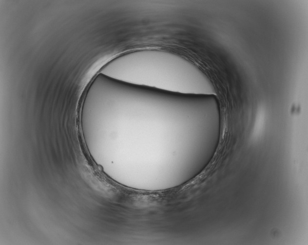X0000113640147200909181337