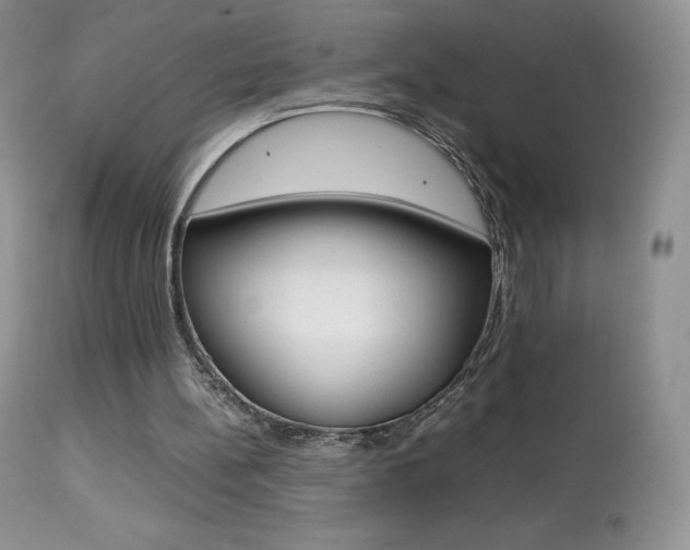 X0000113640148200909181337
