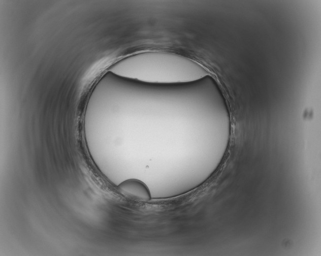 X0000113640149200909181337