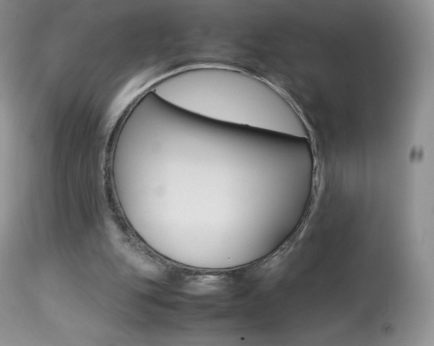 X0000113640151200909181338