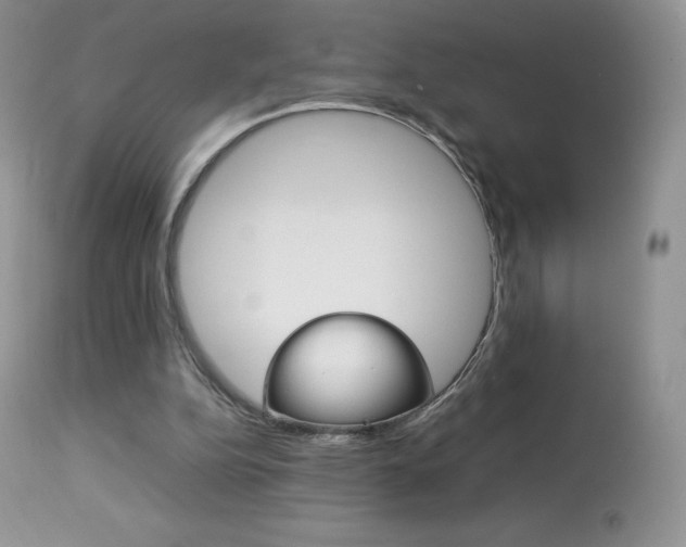 X0000113640152200909181338