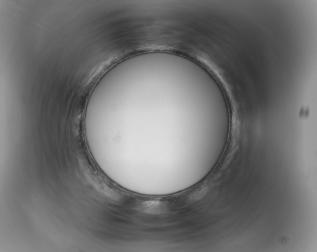 X0000113640153200909181338
