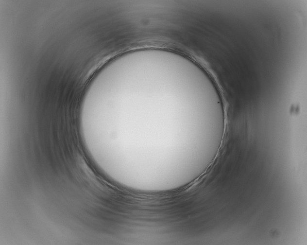 X0000113640154200909181338