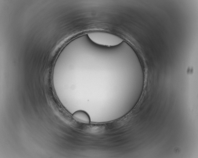 X0000113640155200909181338