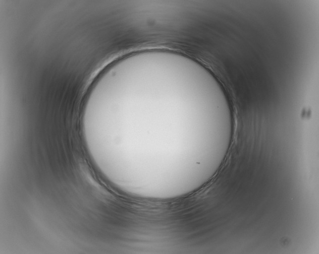 X0000113640156200909181338