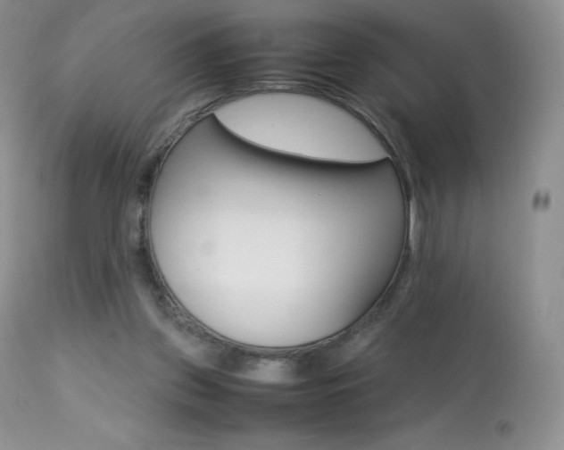 X0000113640157200909181338