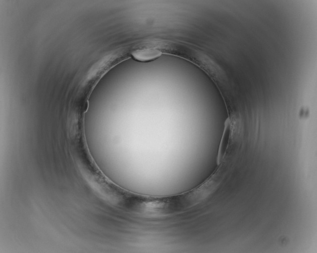 X0000113640158200909181338
