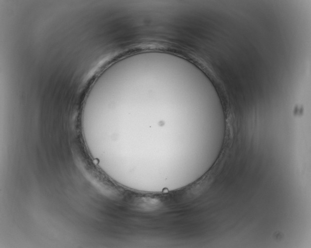 X0000113640159200909181338