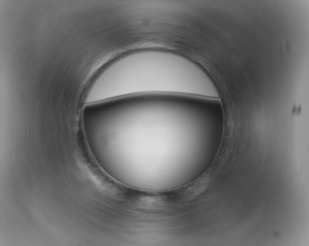 X0000113640160200909181338