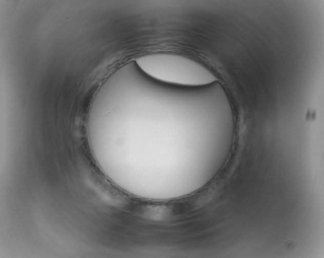 X0000113640161200909181338