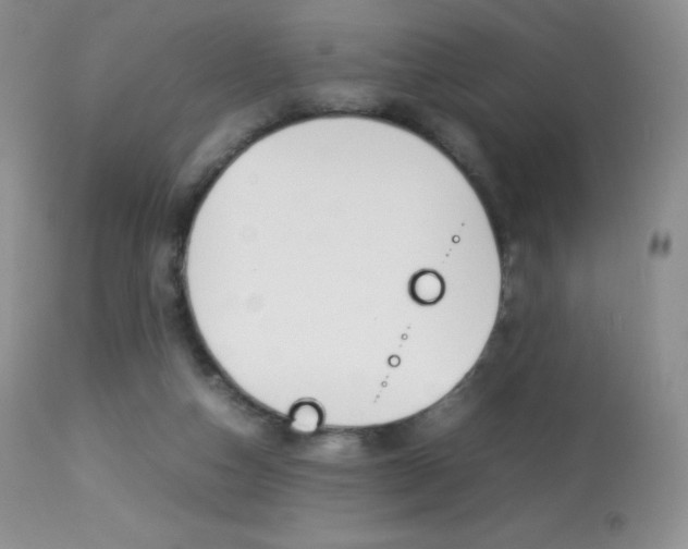 X0000113640162200909181338