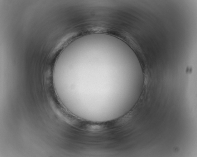 X0000113640163200909181338