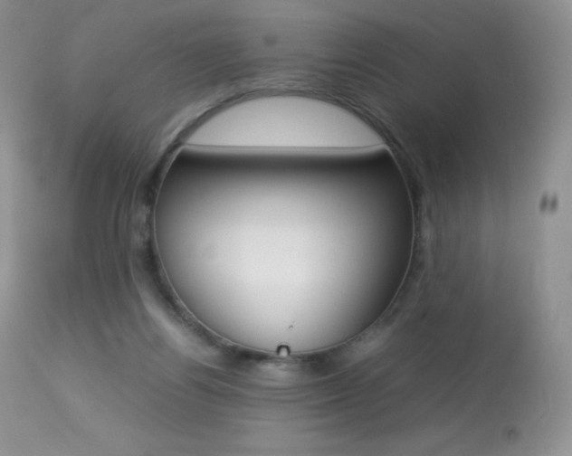 X0000113640164200909181338