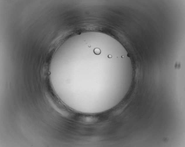 X0000113640165200909181338